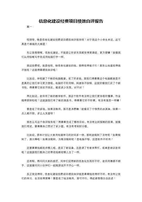 信息化建设经费项目绩效自评报告