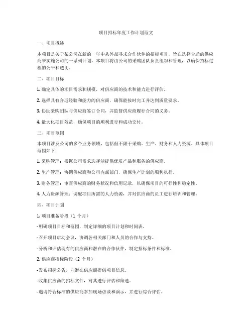 项目招标年度工作计划范文