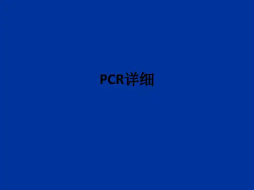 PCR详细ppt课件