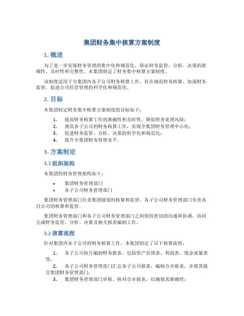 集团财务集中核算方案制度