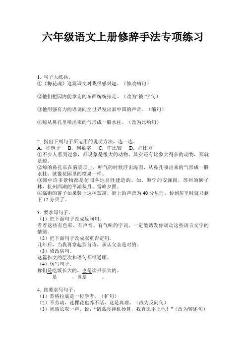 六年级语文上册修辞手法专项练习