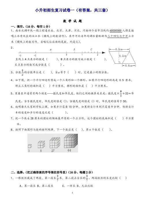 (精选)2019年小升初考试数学试题及答案解析[共3套]