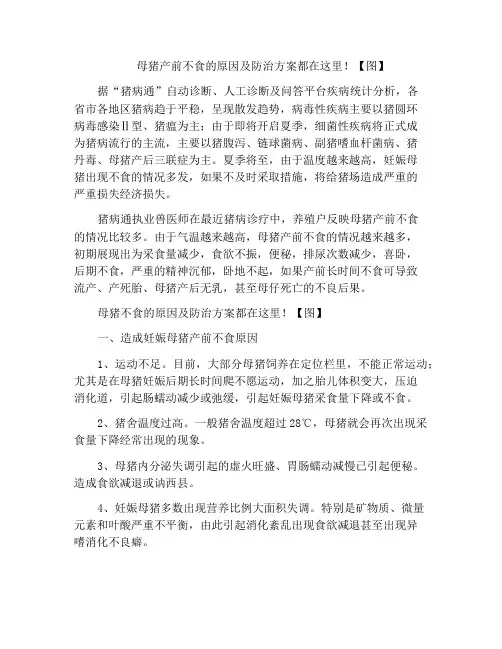 母猪产前不食的原因及防治方案都在这里!【图】