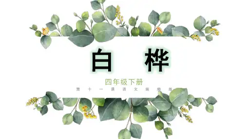 《白桦》ppt课件