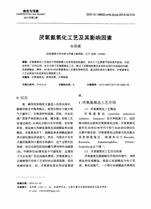 厌氧氨氧化工艺及其影响因素