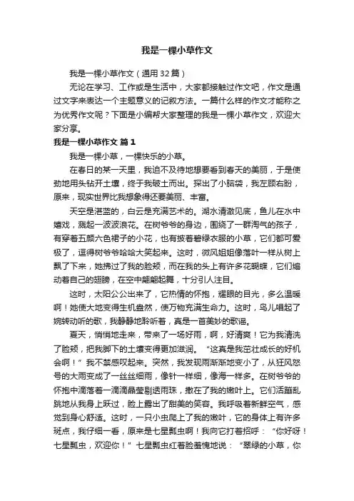 我是一棵小草作文