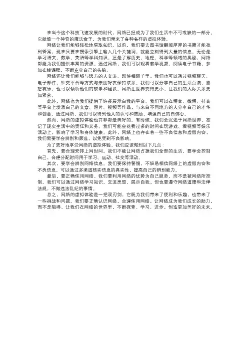网络的虚拟体验