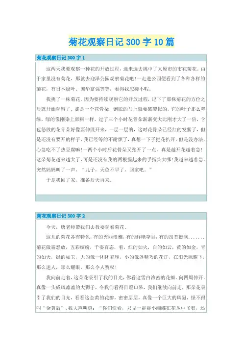 菊花观察日记300字10篇