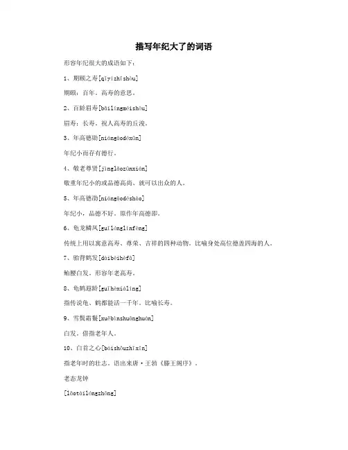 描写年纪大了的词语