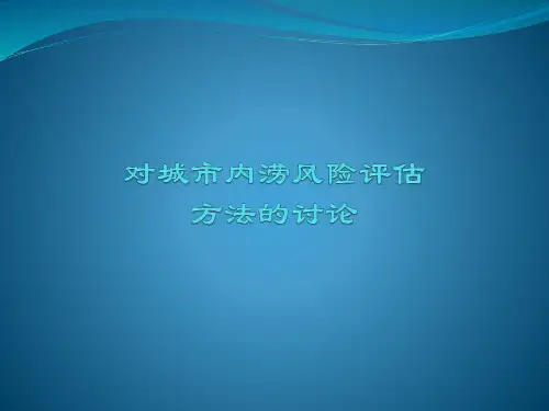 对城市内涝风险评估方法的讨论