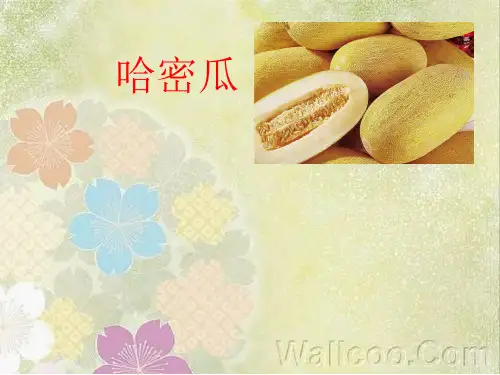 哈密瓜