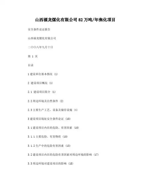 安全条件论证报告