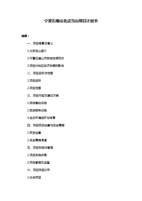 宁夏石嘴山北武当山项目计划书