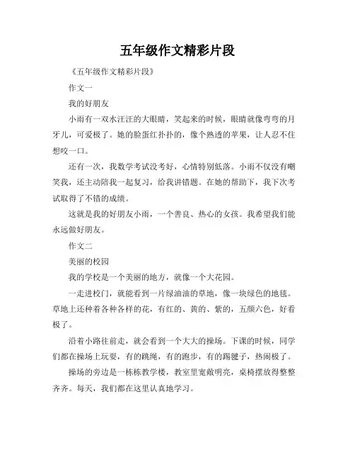 五年级作文精彩片段