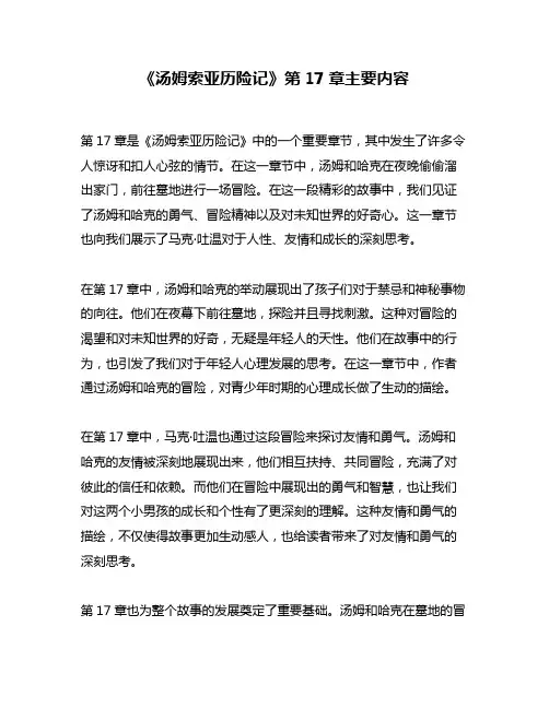 《汤姆索亚历险记》第17章主要内容