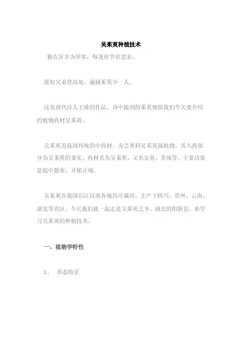 吴茱萸种植技术