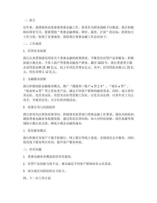 普惠金融工作总结报告