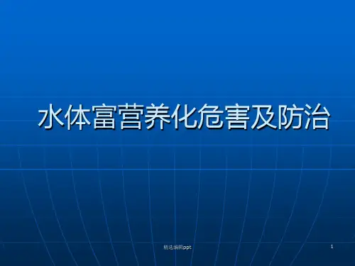 水体富营养化危害及防治措施ppt课件