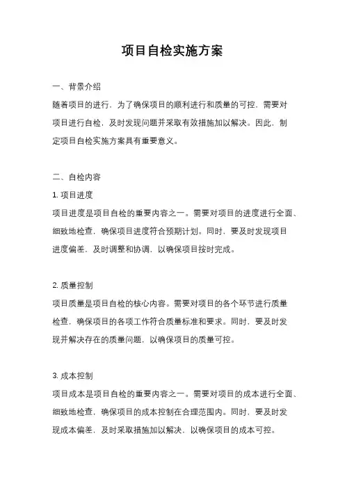 项目自检实施方案