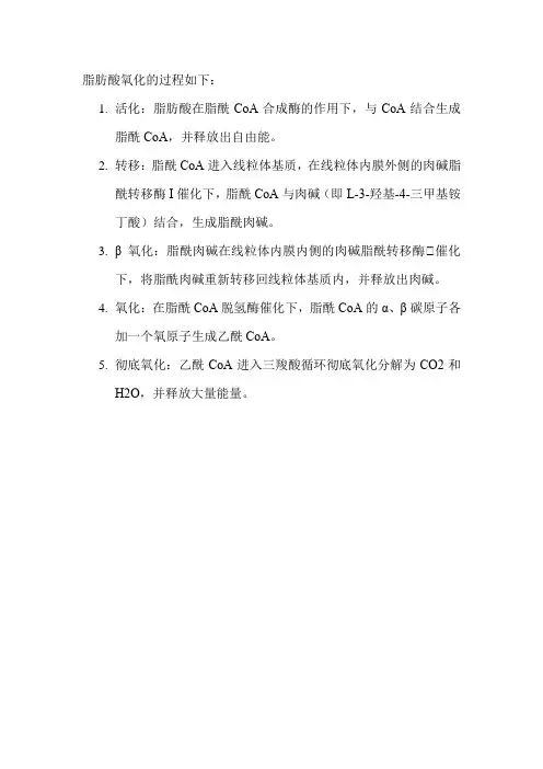 脂肪酸氧化的过程