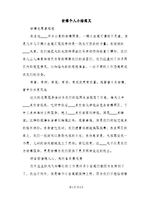 世博个人小结范文（2篇）