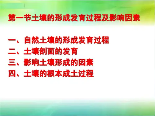 土壤的形成发育过程及影响因素PPT课件