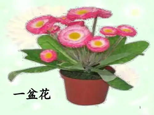 【公开课】四年级下册语文课件 场景歌课件_56-60
