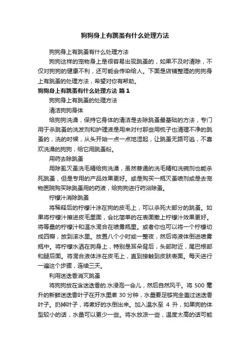 狗狗身上有跳蚤有什么处理方法