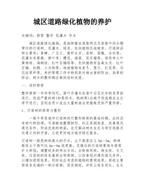城区道路绿化植物的养护