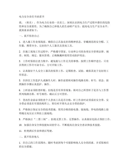 电力安全责任书承诺书模板