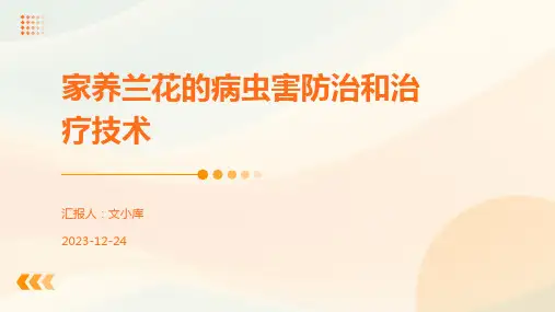 家养兰花的病虫害防治和治疗技术
