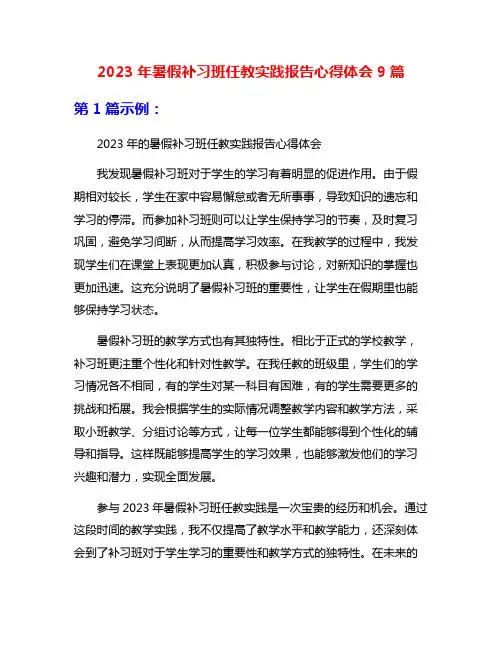 2023年暑假补习班任教实践报告心得体会9篇