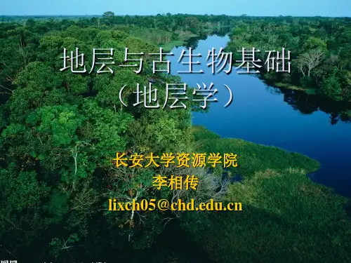 5 第三章 沉积环境与沉积相、古地理