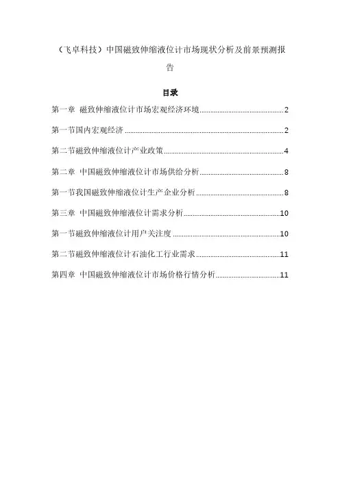 (飞卓科技)中国磁致伸缩液位计市场现状分析及前景预测报告
