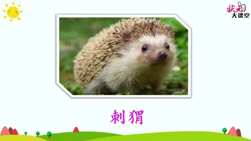 小学语文人教版(部编)三年级上册《23带刺的朋友》课件公开课