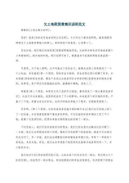 欠土地租赁费情况说明范文