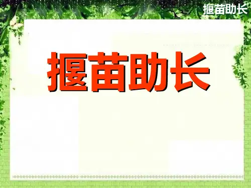 《揠苗助长》课件ppt(1)