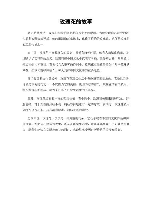 玫瑰花的故事