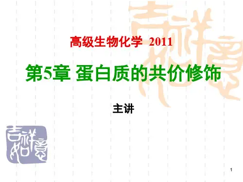 蛋白质共价修饰ppt课件