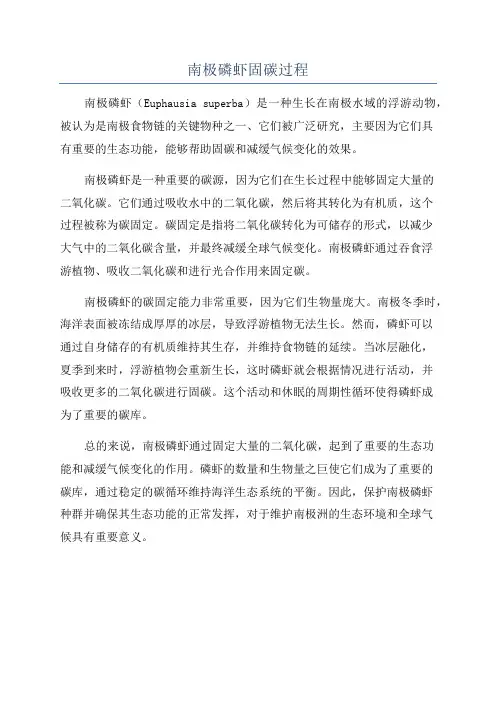 南极磷虾固碳过程