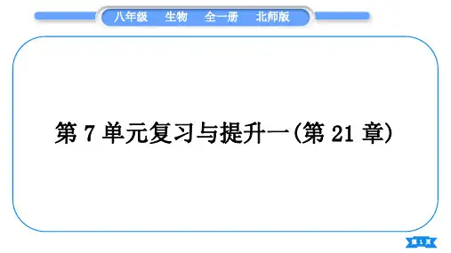 北师大版八年级生物下第7单元生命的演化第21章生命的发生和发展复习与提升一(第21章)习题课件