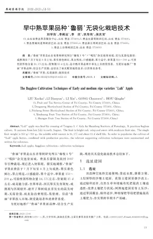 早中熟苹果品种‘鲁丽’无袋化栽培技术