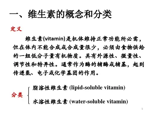 维生素与辅酶