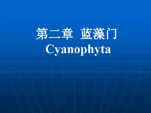 2.蓝藻门 07