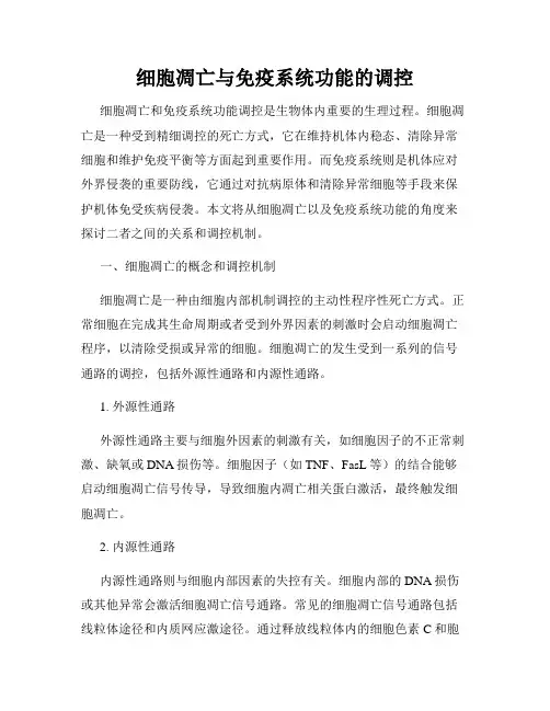 细胞凋亡与免疫系统功能的调控