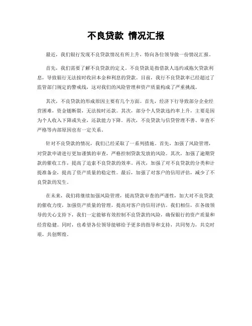 不良贷款 情况汇报