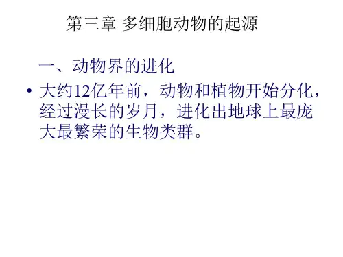 动物学课件第三章 多细胞动物的起源