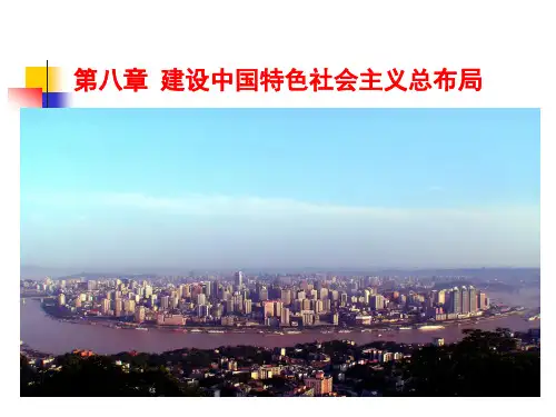 毛概第八章课件