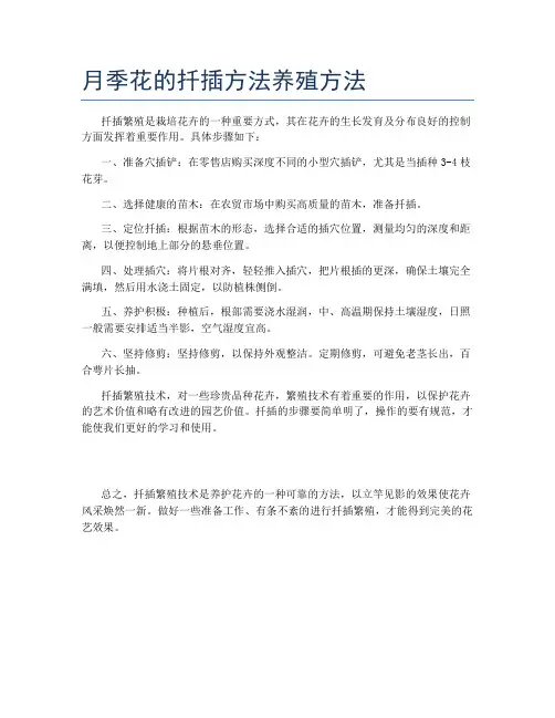 月季花的扦插方法养殖方法