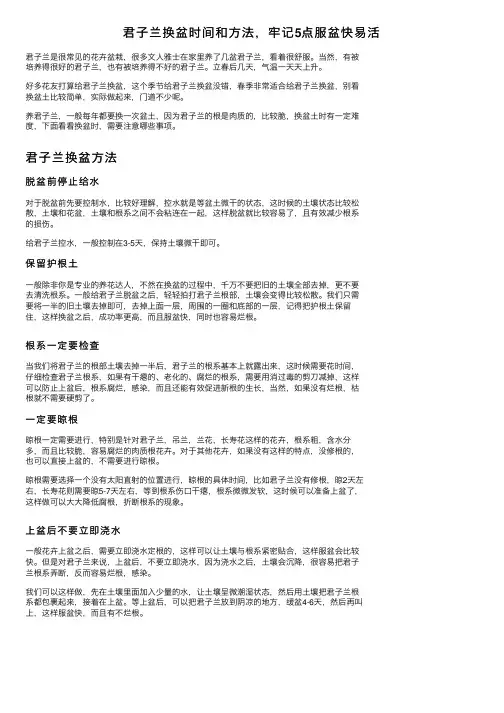 君子兰换盆时间和方法，牢记5点服盆快易活